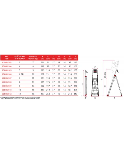Schemat i wymiary drabiny DOMUS